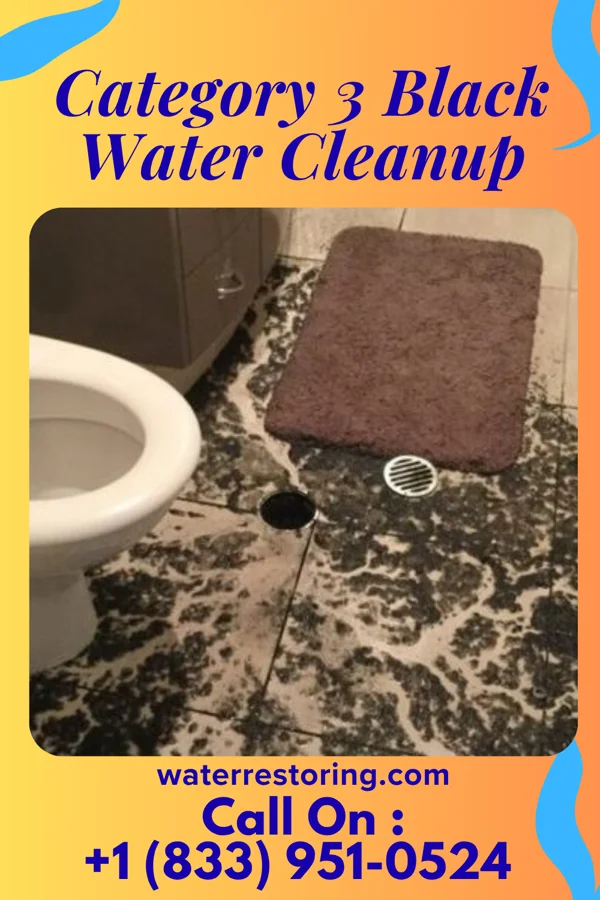 Category 3 Black Water Cleanup in Delmont, SD